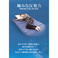 クリエイトアルファ 1セット マットレス シングル 折りたたみ 高反発 10cm 寝具 紺 4582243 753067-NB-1（直送品）
