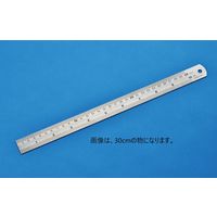 シンワ測定 ステン直定規（尺目盛付）60cm 84-06 1本（直送品）