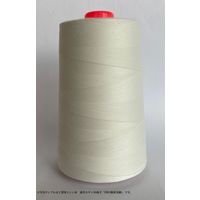 FTC 工業用ミシン糸　東洋カタン50番手5000m　199番色 tyk50/5000-199 1本(5000m巻)（直送品）