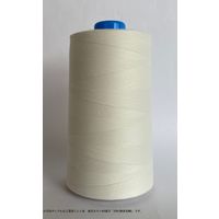 FTC 工業用ミシン糸　東洋カタン60番手5000m　193番色 tyk60/5000-193 1本(5000m巻)（直送品）