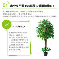 ファミリー・ライフ 人工観葉植物 鉢ポット付　ベンジャミン&幸福の木　インテリアグリーン a25848 1セット（2本入）（直送品）