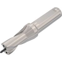 セコ ドリル加工 Crownloc(クラウンロック) SD101 SD101-16.00/16.99-25-16R7 1個（直送品）