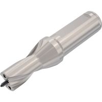 セコ ドリル加工 Crownloc(クラウンロック) SD101 SD101-17.00/17.99-30-20R7 1個（直送品）