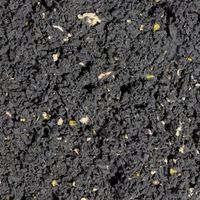 エー・エム・プロダクツ pig ピグユニバーサルルース PLP202 1箱(1袋) 658-6143（直送品）