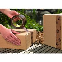 テサテープ tesa テサパック エコ&ストロング 58155 ブラウン 50mm×66m 58155-50-66 1巻 700-0926（直送品）