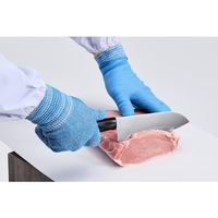 アトム 耐切創手袋 10G ツヌーガ手袋 ブルー LL HG-232-LL 1セット(10双) 683-8478（直送品）