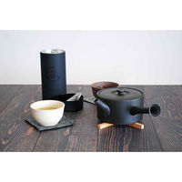 南海通商 急須 460ml ロクサン tokoname 平型 ブラック 476137 1個（直送品）