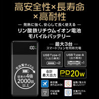 グリーンハウス リン酸鉄モバイルバッテリー PD20対応 20000mAh ブラック GH-LFMBPA200-BK 1個