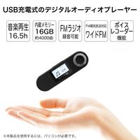 グリーンハウス MP3プレイヤー KANA UBS(16GB)ブラック GH-KANAUBS16-BK 1個