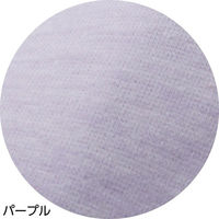 ケアファッション 吸水パッド対応ショーツ パープル L W018004962 1枚（直送品）