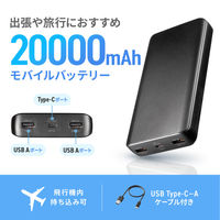 サンワサプライ モバイルバッテリー(20000mAh) BTL-RDC41BK 1個
