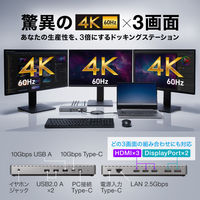 サンワサプライ ドッキングステーション(HDMI/DisplayPort・4K×3画面出力対応) USB-CVDK20 1個