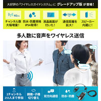 サンワサプライ ワイヤレスガイドシステム MM-WGS6 1個