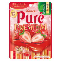 グミ 食べきりサイズ カンロ ピュレグミプレミアム栃木産とちあいか苺 54g 1セット（1個×12）