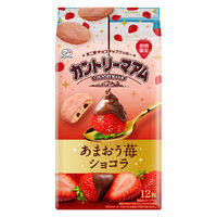 クッキー ビスケット 個包装 お配り菓子 カントリーマアム　あまおう苺ショコラ　12枚入 1セット（1個×5）
