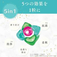 arFUM Liry アフュ―ム リリー ボール型洗濯洗剤 本体 1個（20粒入） 王子製薬