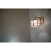 新洋電気 湊 sou 不織布+桜 AB624-I 1台（直送品）