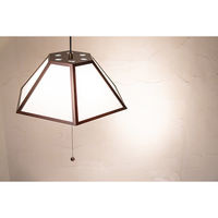 新洋電気 丹 tan-S 雲竜 AP822-2 1台（直送品）