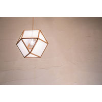 新洋電気 吟 gin ホワイトフォール AP848 1台（直送品）