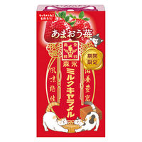 ソフトキャンディ キャラメル 個包装 お配り菓子 ミルクキャラメル　あまおう苺　12粒入 1セット（1個×10）