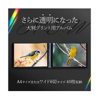 ハクバ写真産業 プロフェッショナルプリントアルバム V A4(ヨコ)サイズ 40枚収納 ブラック ADP5-A4YBK 1冊（直送品）