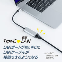 ナカバヤシ TypeーC ー 有線LANアダプタ 1Gbps シルバー ULA-C01SL 1個
