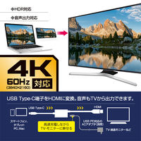 ナカバヤシ TypeーC ー HDMI 変換ケーブル 2m 4K60Hz/PD給電対応 USD-P4K20BK 1個