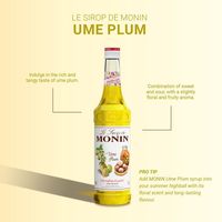 業務用 割り材 モナン うめプラム・シロップ 700ml 1本 MONIN 割材 ドリンクベース フレーバーシロップ