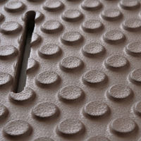 アイリスオーヤマ バスマット BM-6085E ブラウン 1個