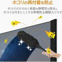 エレコム テレビ用クリーナー/クリーニングブラシ/除電/強力/収納ケース付 AVD-TVBR03ASC 1個