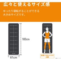 エレコム エクリアスポーツ/ガイドライン付トレーニングマット/ブラック HCF-YM08BK 1個