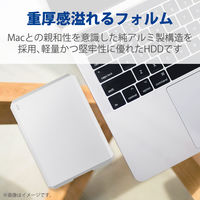 LaCie Mobile Drive 4TB Type-C STHG4000400 1個