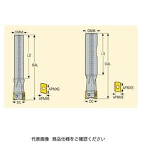 セコ・ツールズ・ジャパン フライス ターボカッタ R217.69ー1010.0ー06ー2N 1個（直送品）