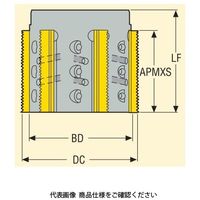 セコ・ツールズ・ジャパン フライス ねじ切り用 R396.19ー0058ー4003ー6AM 1個（直送品）