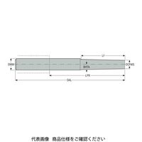 セコ・ツールズ・ジャパン フライス ミニマスター MM06ー16140.0ー1035DS 1個（直送品）