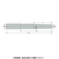 セコ・ツールズ・ジャパン フライス ミニマスター MM10ー20250.0ー1055DS 1個（直送品）