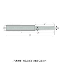 セコ・ツールズ・ジャパン フライス ミニマスター MM16ー20190.0ー1095DS 1個（直送品）