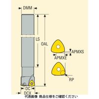 セコ・ツールズ・ジャパン フライス 金型用 R217.21ー2532.0ーR125.2A 1個（直送品）