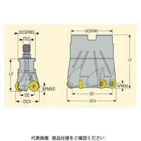 セコ・ツールズ・ジャパン フライス 金型用 R217.29ー0816.REー03.3 1個（直送品）
