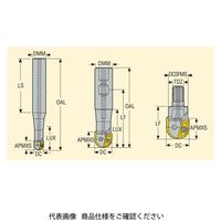 セコ・ツールズ・ジャパン フライス 金型用 R218.20ー3230.3ー45.100A 1個（直送品）