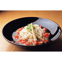 稲庭吟祥堂本舗 手綯い稲庭うどん P-30（直送品）
