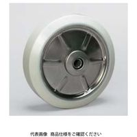 シシクSISIKUアドクライス ステンレスキャスタ(中荷重用)固定 SUNKー100 SWUW SUNK-100SWUW 1セット(4個)（直送品）