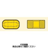 セコ・ツールズ・ジャパン 旋削 外径用チップ LNMX301940ーMFTP2501 1セット(10個)（直送品）