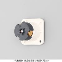 アメリカン電機 引掛形 機器用アウトレット白 3117ーIV 1セット(8個)（直送品）