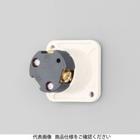アメリカン電機 機器用アウトレット 白 7117GーIV 1セット(8個)（直送品）