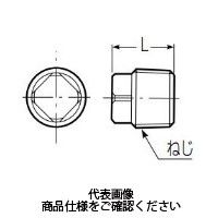 未来工業 ヘッダープラグ GSH-P-25 1セット(5個)（直送品）