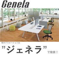 【組立設置込】プラス ジェネラ フリーデスク 片面ストレート ベースセット 幅2000×奥行700×高さ720mm ホワイトメープル/ホワイト 1台（直送品）