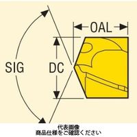 セコ・ツールズ・ジャパン ドリル クラウンロック用 SD100ー17.70ーP 1セット(2個)（直送品）