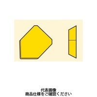 フライス用チップ SEAN1203ZZTNーM15:MK1500 SEAN1203ZZTN-M15MK1500 1セット(10個)（直送品）