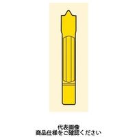 旋削 MDT用チップ LCGN1603ーE1.5ISO:CP500 LCGN1603-E1.5ISOCP500 1セット(10個)（直送品）